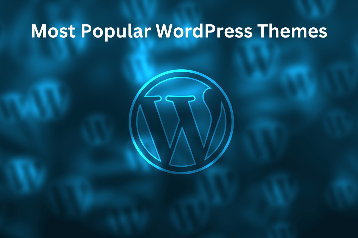 Popular wordpress theme