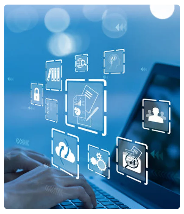 Custom Website Development Service (WP)